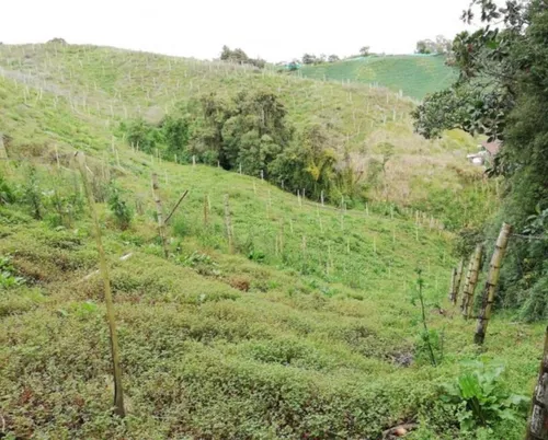 Hermosa Finca En Venta En El Municipio De La Unión Antioquia ~