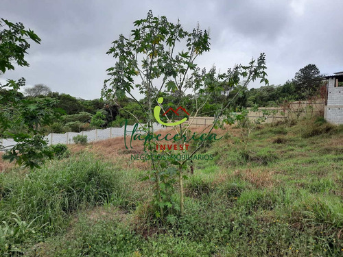 Imagem 9 de 9 de Terreno Itapecerica Da Serra - Vte0567