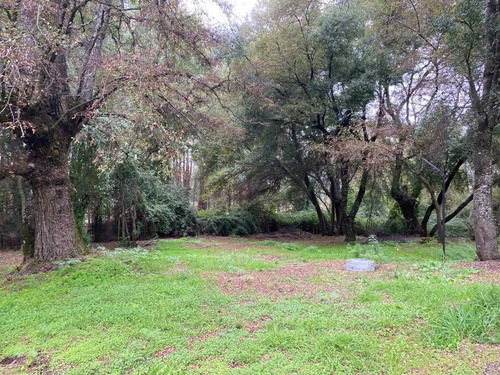 Se Vende Maravillosa Parcela De 1,0 Ha (162827)