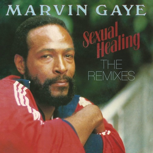  Marvin Gaye Sexual Healing Vinilo