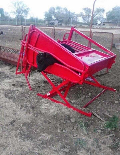Prensa Trampa Ganadera, Báscula, Corrales,