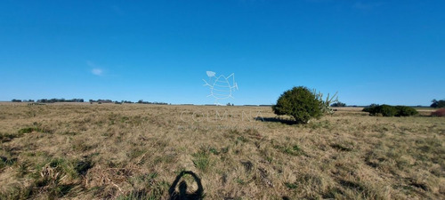 Imagen 16 de 28 de Venta Campo Ideal Para Fraccionar En Chacras Codigo 6003 - Las Garzas