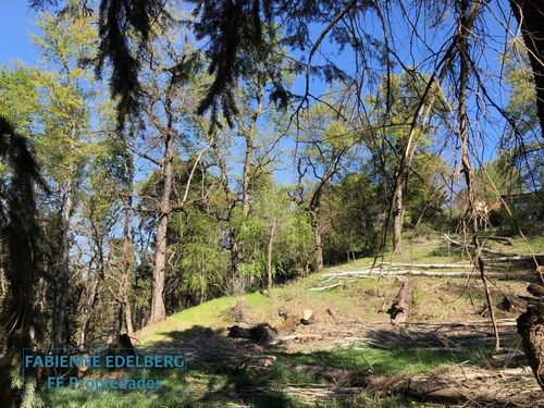Imagen 26 de 30 de Terreno Apto Desarrollo Lote Centro 6686 M2 - San Martin De Los Andes