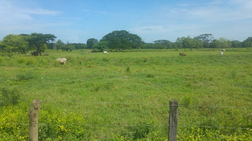 Imagen 26 de 27 de Se Vende Finca Hacienda En Estado Zulia, Ml
