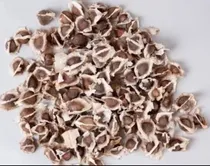 Comprar Semillas De Moringa Orgánicas 250 Gr.