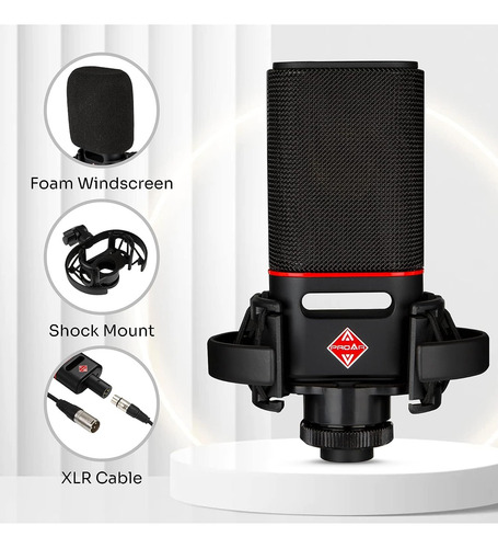 Microfono De Condensador Cardioide Proar Xlr Con