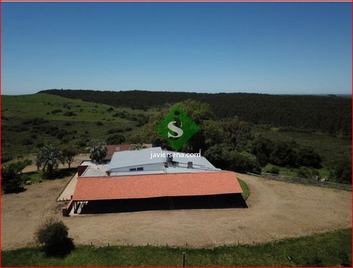 Venta De Chacra Con Salon De Fiestas Incluidos, 3 Dormitorios, 2 Baños, 500m2 Edificados.- Ref: 167696