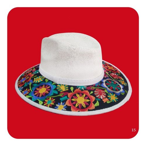 Imagen 6 de 10 de Elegante Sombrero Artesanal De Gamuza Bordado Mediano 2