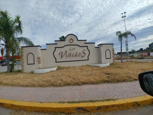 Imagen 4 de 6 de Terreno En Venta Los Viñedos