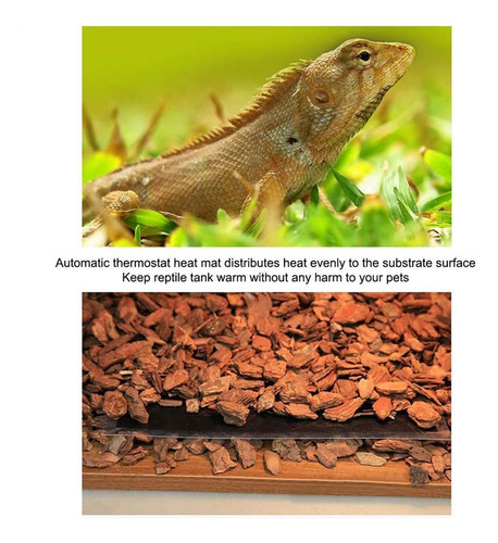 Estera Calefactora Para Reptiles Estera Calefactora Para Rep