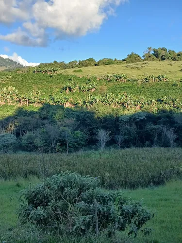 Propriedade Rural 22 Hectares