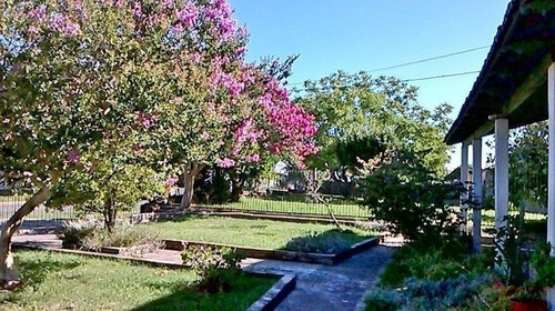 Imagen 7 de 14 de Oport., Apúrese, Disponible. Residencia, Casa De Campo De Estilo!