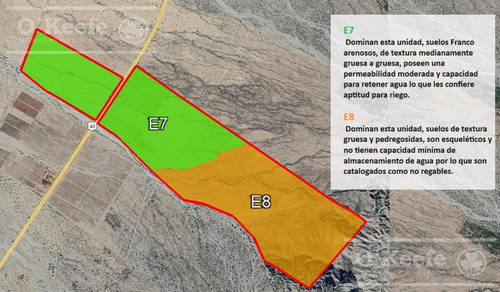 Campo En Venta De 300 Has Santa Maria, Catamarca