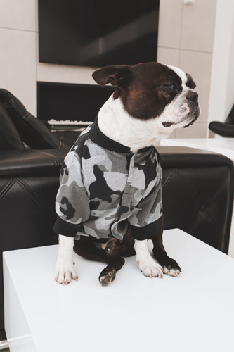 Imagen 2 de 5 de Chaqueta Para Perro Militar