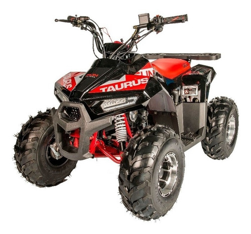 Mini Quadriciclo Fun Motors 110cc Infantil 4 Tempos