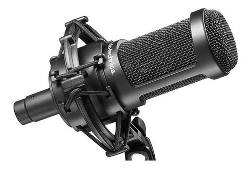 Micrófono Audio-Technica AT2050 condensador omnidireccional negro