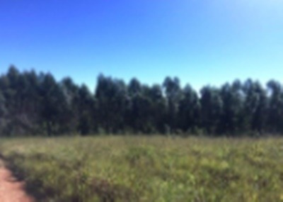 Imagem 3 de 5 de Fazenda Ótima Localização Itatiba - Sp - Jardim Das Nações - V4320