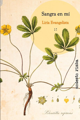 Libro: Sangra En Mí / Liria Evangelista / Modesto Rimba