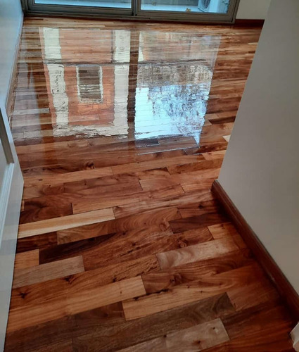 Imagen 5 de 9 de Pulidor Plastificador De Piso Madera Parquet Hidrolaqueado