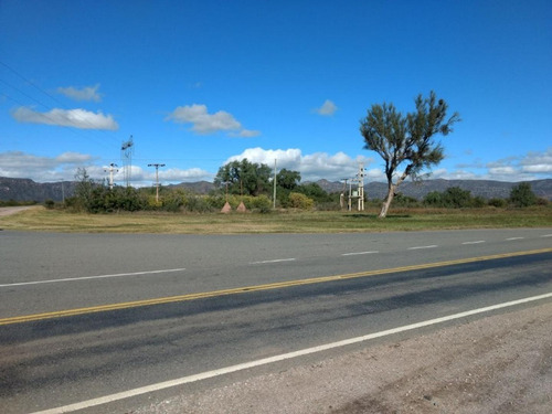 San Luis Ruta 20 150 Has Sobre Ruta Ganaderas