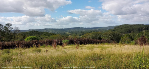 Imagem 7 de 15 de Área Rural Para Venda Em Mariana Pimentel, Linha Do Registro - 1245_1-1842627