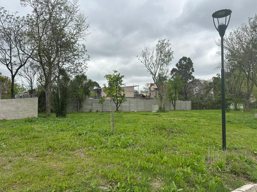 Venta Lote Financiación Avenida Olivos Y Panamericana Excelente Ubicación !!!