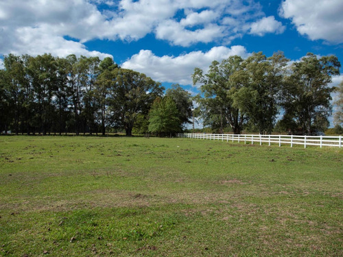 Imagen 1 de 9 de Chacra La Olvidada Altos De Areco