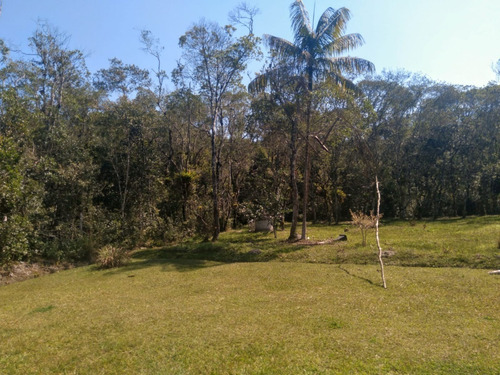 Imagem 9 de 15 de Chácara À Venda Com Lago Riacho 10.000 M² Ótimo Acesso