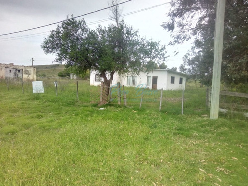 Imagen 2 de 13 de Chacra A 15 Minutos Punta Ballena. - Maldonado