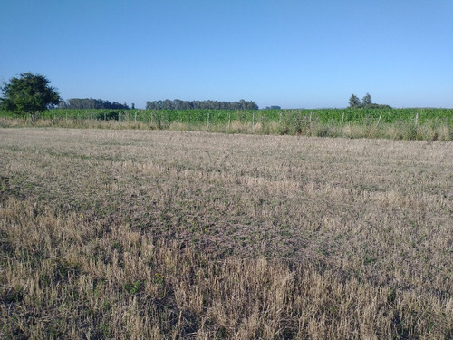 Imagen 14 de 14 de Campo En Venta En Punta Indio - 77 Hectáreas