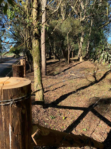 Imagem 6 de 14 de Terreno Rural - Chacrinha - Bairro Passa Dois - Lapa/pr