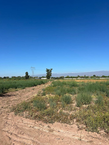 Finca En Venta En Colonia Segovia. 7,5 Has