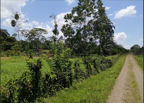 Imagen 8 de 9 de Finca Hermosa
