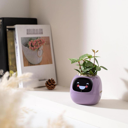 Robot Jardinera Inteligente Lindo Robot Planta Inteligencia
