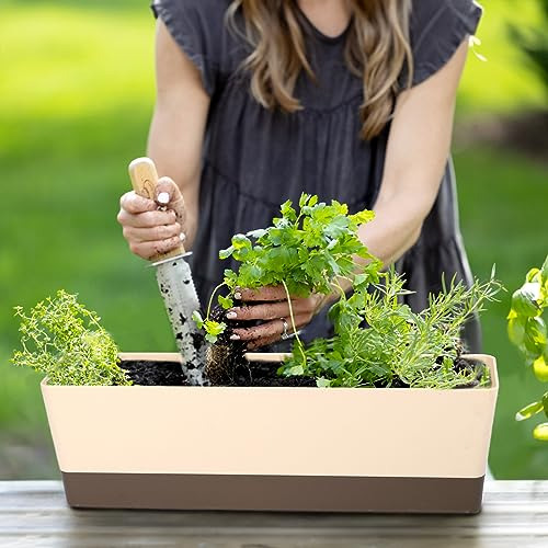 Suream Window Box Herb Planters, 3 Pack 16 X3.8 Pulgadas Ind