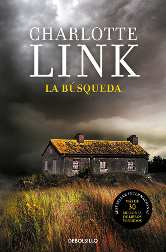 La Búsqueda - Link, Charlotte  - *