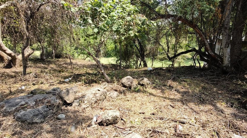 Imagen 17 de 23 de Terreno Venta Fraccionamiento Club De Golf Sta. Fe. M7 L1