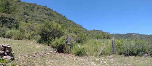 Imagen 4 de 30 de Venta Campo 102 Hectareas V.g.b Oportunidada!!!