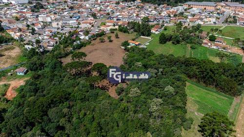 Imagem 16 de 30 de Terreno À Venda, 17538 M² Por R$ 3.500.000,00 - Guatupê - São José Dos Pinhais/pr - Te0074
