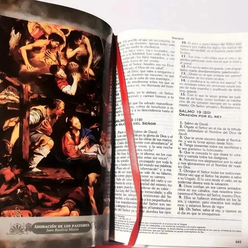 Sagrada Biblia Católica + Diccionario Bíblico Católico