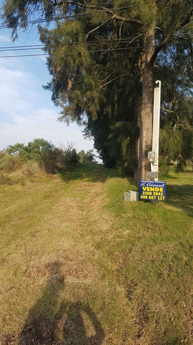 Amplio Terreno De 4,2 Há De 75x570 M. Chacra, Vivienda, Etc.