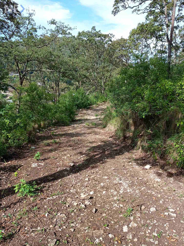 Imagen 4 de 7 de Terreno En Venta Barrio De San Nicolás, San Cristóbal De Las Casas, Chiapas