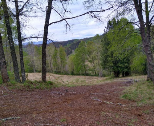 Agrícola Campo O Inmobiliario Loteo En Venta En Panguipulli