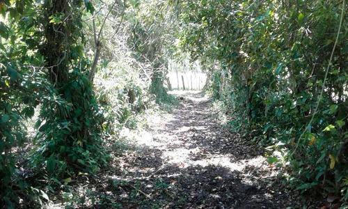 Venta Rancho 6 Hectáreas Hectáreas En Tuxpan Veracruz