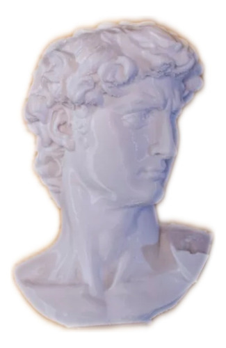 Busto David Impreso 3d Decoración Miguel Angel 22cm