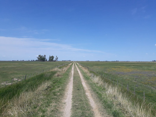 Campo En Venta En Tapalqué