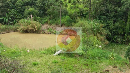 Imagem 27 de 30 de Chácara Com 3 Dormitórios À Venda, 12300 M² Por R$ 350.000,00 - Avencal - Mandirituba/pr - Ch0008