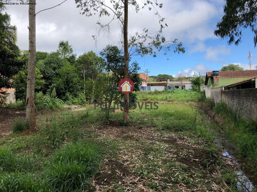 Imagem 5 de 15 de Terreno Para Venda Em São José Dos Pinhais, Guatupê - Te0572_2-1301053