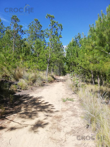Terreno En Venta En Perote En La Zona Antigua Normal