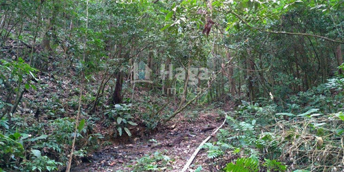 Sítio À Venda Em Gaspar/sc - 1539